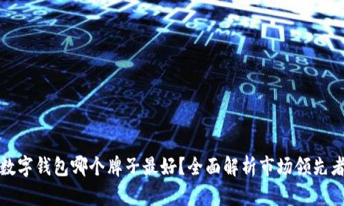 數(shù)字錢包哪個牌子最好？全面解析市場領(lǐng)先者