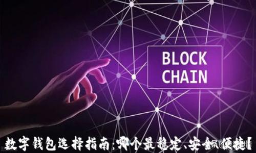 
數(shù)字錢包選擇指南：哪個最穩(wěn)定、安全、便捷？