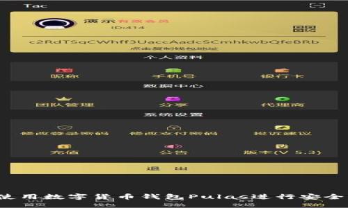 如何使用數(shù)字貨幣錢包Pulas進行安全交易？