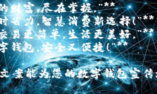 ### 數(shù)字錢包創(chuàng)意文案

1. **“輕松支付，精彩生活！”**
2. **“你的財富，盡在掌握?！?*
3. **“省時省力，智慧消費新選擇！”**
4. **“讓交易更簡單，生活更美好?！?*
5. **“數(shù)字錢包，安全又便捷！”**

希望這些文案能為您的數(shù)字錢包宣傳增添靈感！