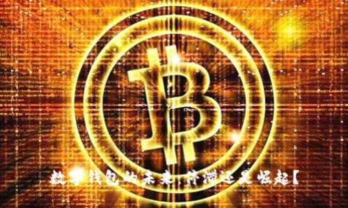 數(shù)字錢(qián)包的未來(lái)：停滯還是崛起？