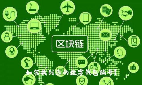 如何找到您的數(shù)字錢包編號？